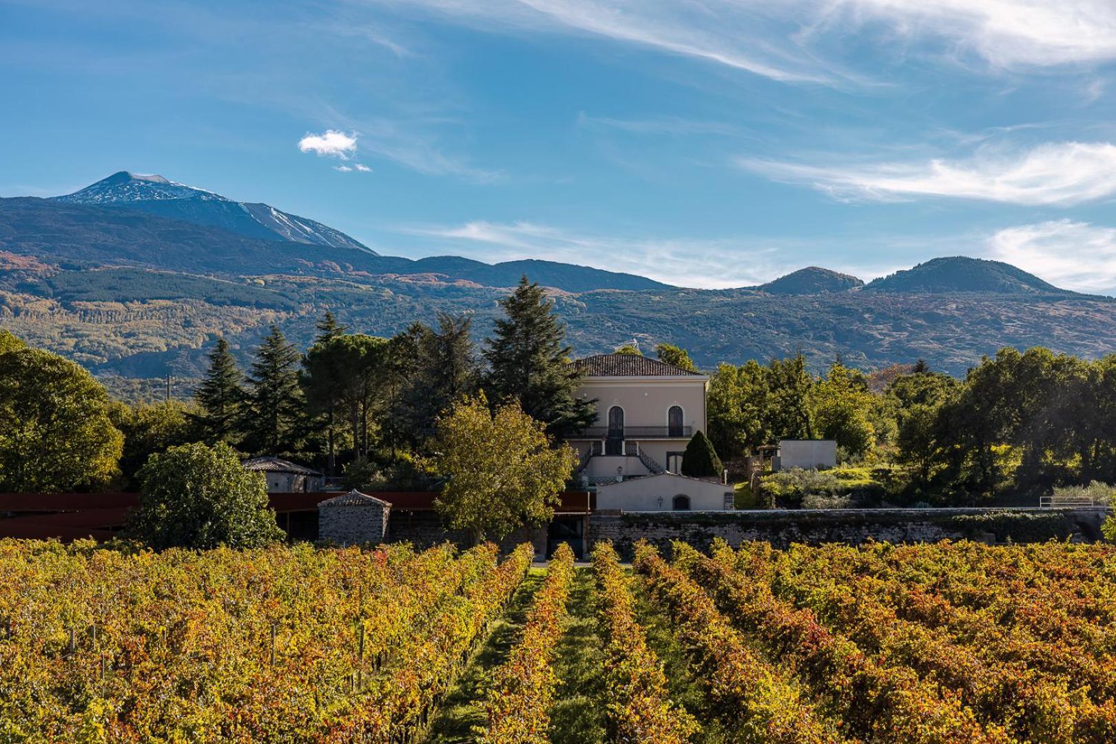 Campore Etna Wines And Resort Randazzo Exteriér fotografie
